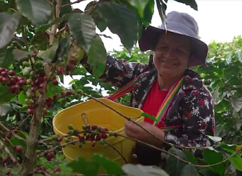 Peru Organic Coffee - Single Origin, Whole Bean