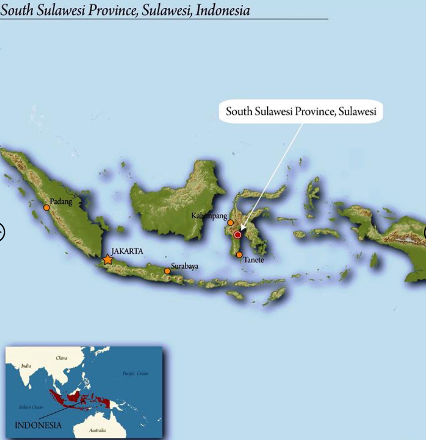 Indonesia Organic Coffee - Single Origin, Whole Bean