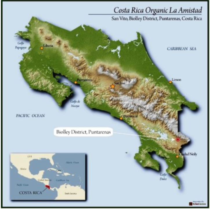 Costa Rica Organic Coffee - Single Origin, Whole Bean