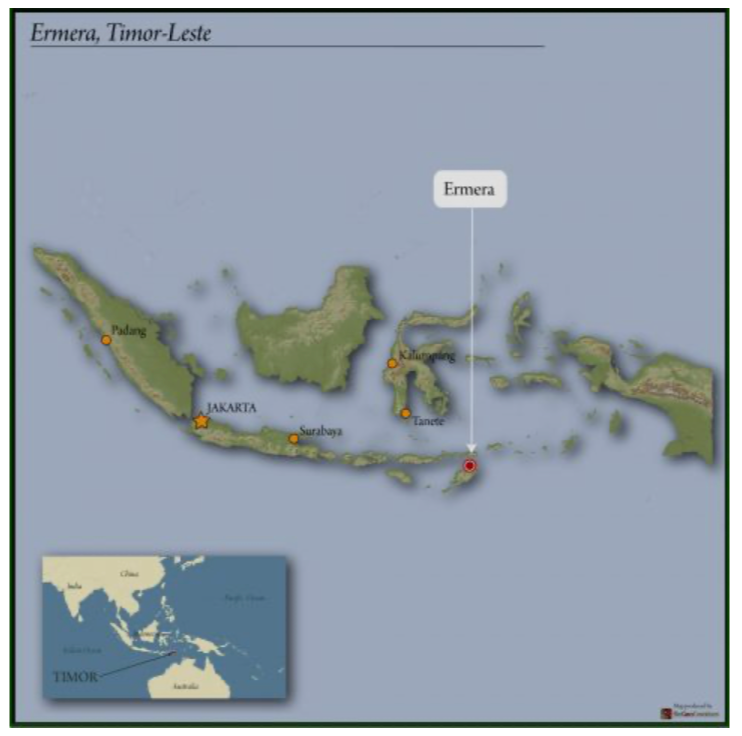 Timor Organic Coffee - Single Origin, Whole Bean