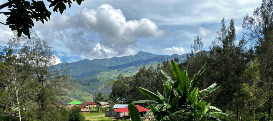 Timor Organic Coffee - Single Origin, Whole Bean